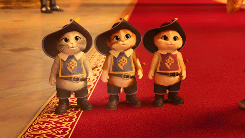 11日去博众参加