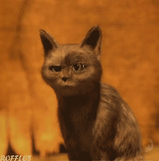 225_227gif 动态图 动图