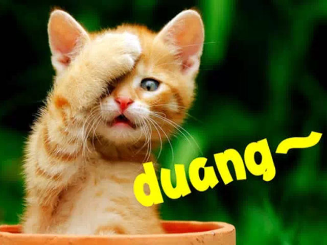 三月,你真的不是