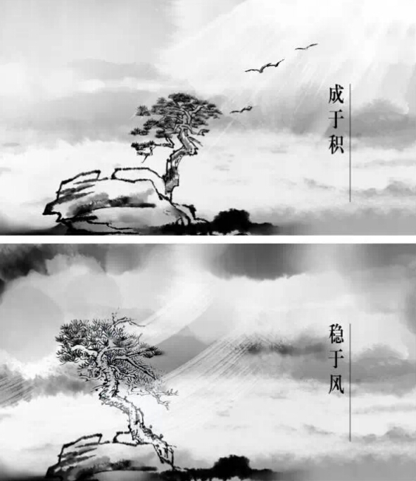 8t认为:木秀于林,何惧风雨摧!